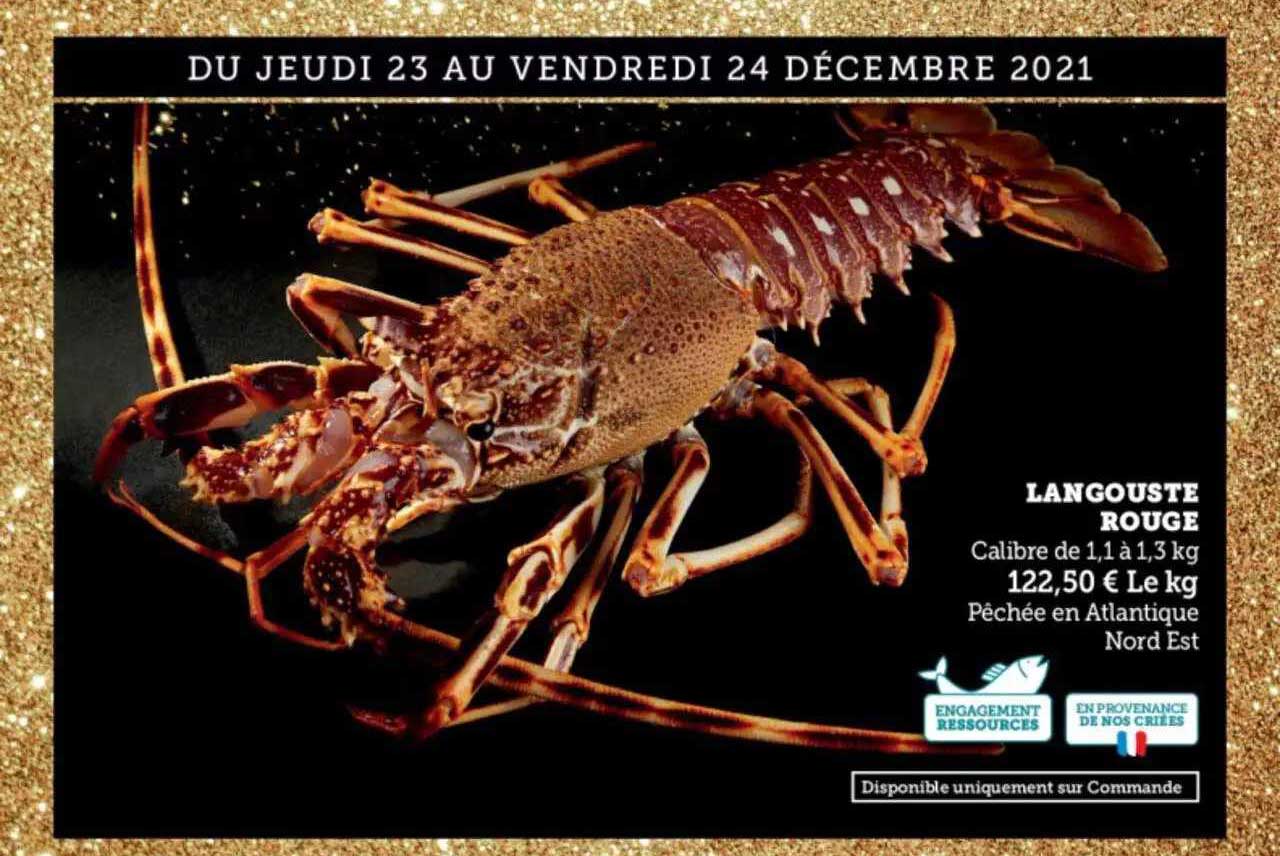 Langouste Rouge