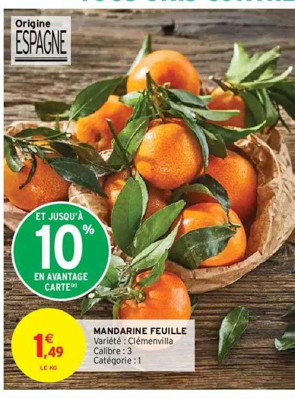 mandarine feuille clémenvilla