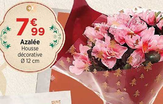 azalée housse décorative ø 12 cm