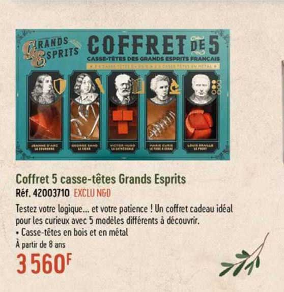 coffret 5 casse-têtes grands esprits