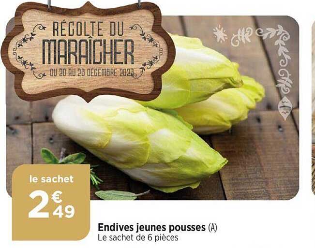 endives jeunes pousses