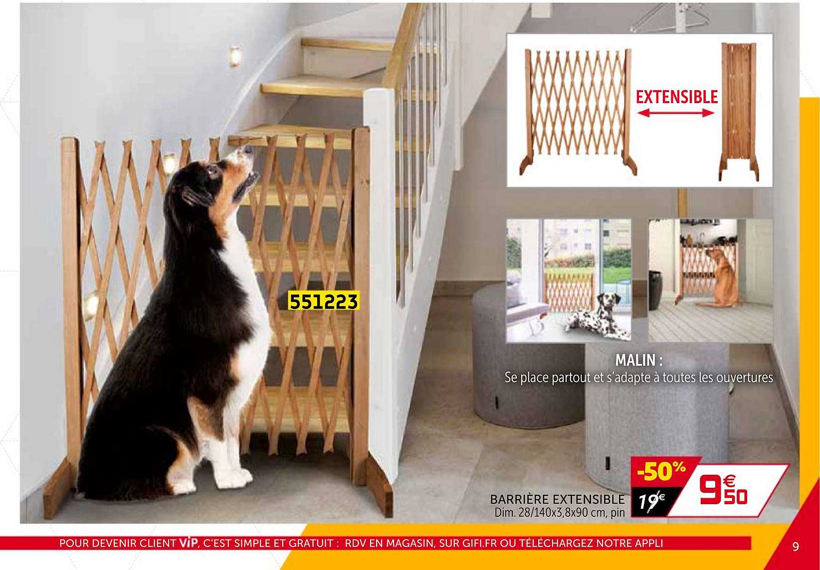 Barrière Extensible