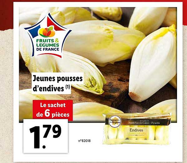 jeunes pousses d'endives