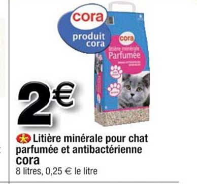 litière minérale pour chat parfumée et antibactérienne cora