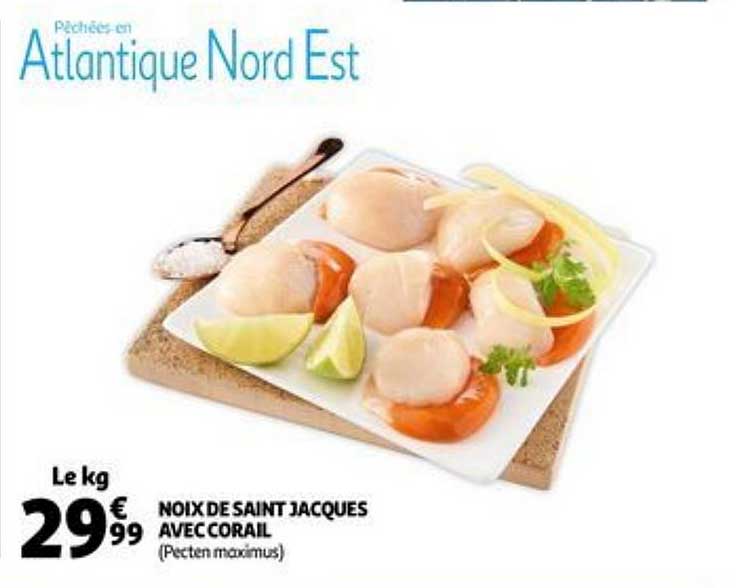 noix de saint jacques avec corail