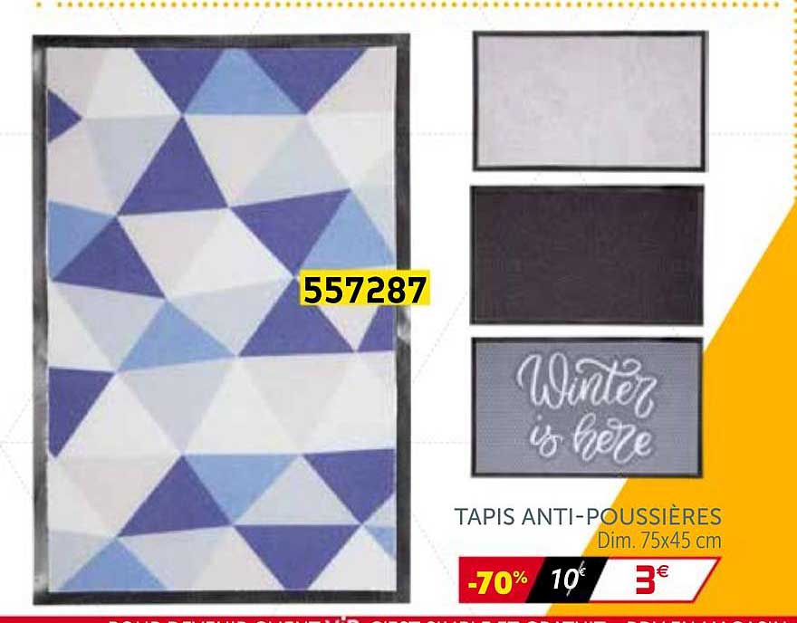 tapis anti-poussières
