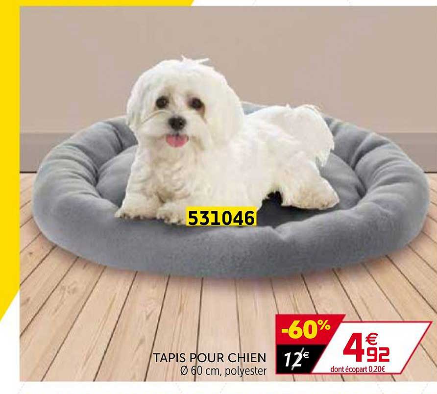 Tapis Pour Chien