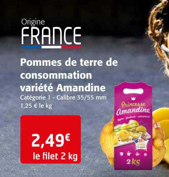 pommes de terre de consommation variété amandine