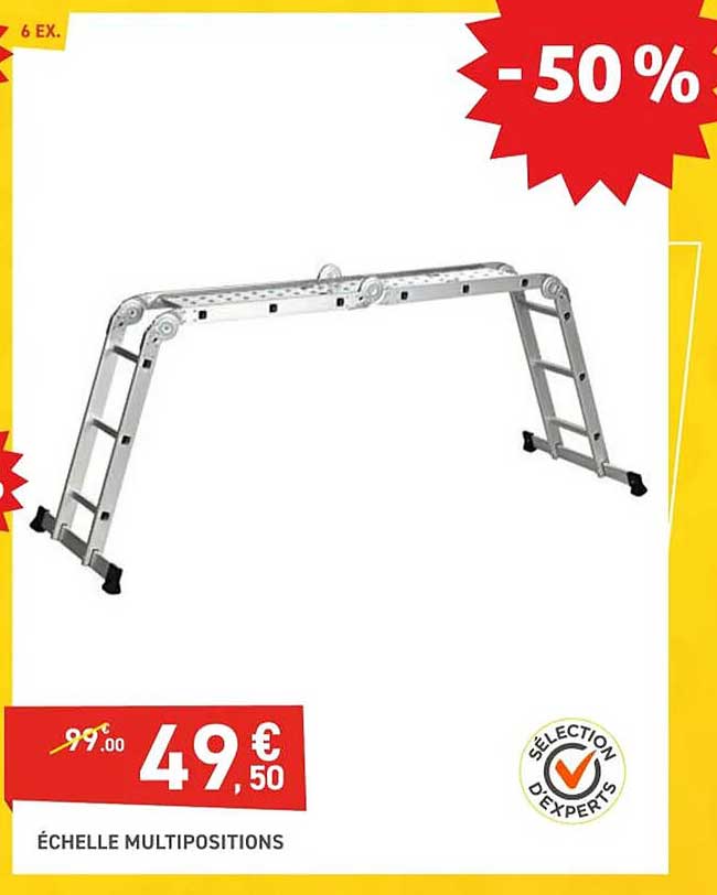 échelle multipositions