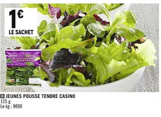 jeunes pousse tendre casino