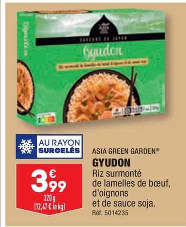 asia green garden gyudon
