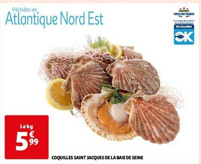 coquilles saint jacques de la baie de seine