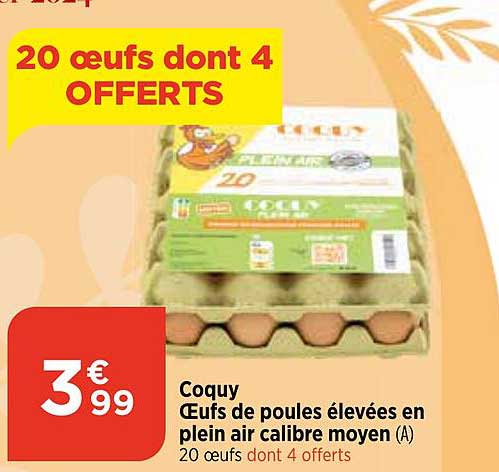 coquy œufs de poules élevées en plein air calibre moyen