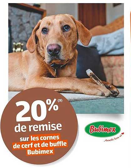 cornes de cerf et de buffle bubimex