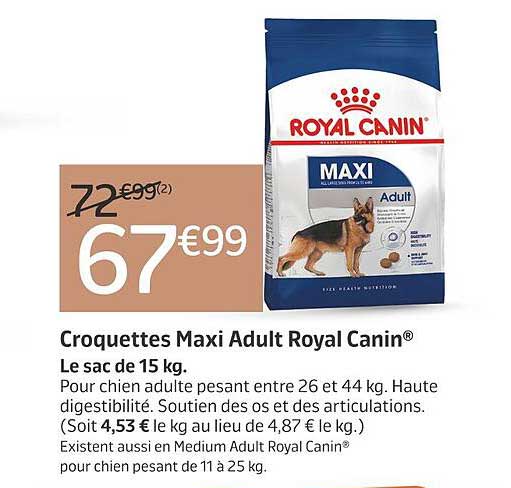 croquettes maxi adult royal canin