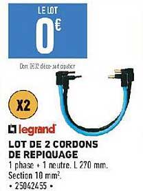 lot de 2 cordons de repiquage legrand