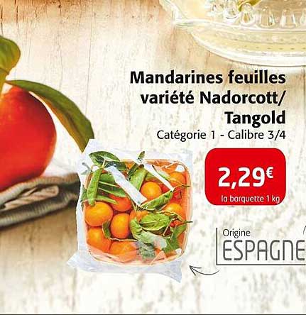 mandarines feuilles variété nadorcott/ tangold
