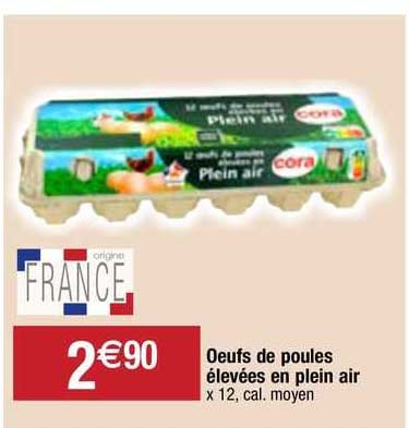 œufs de poules élevées en plein air