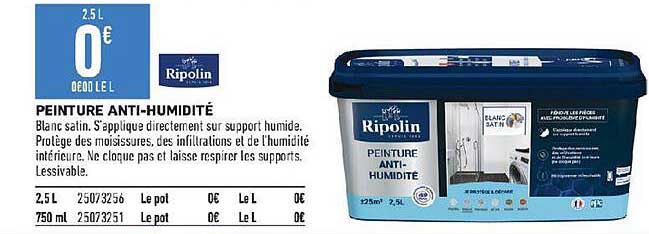 peinture anti-humidité ripolin