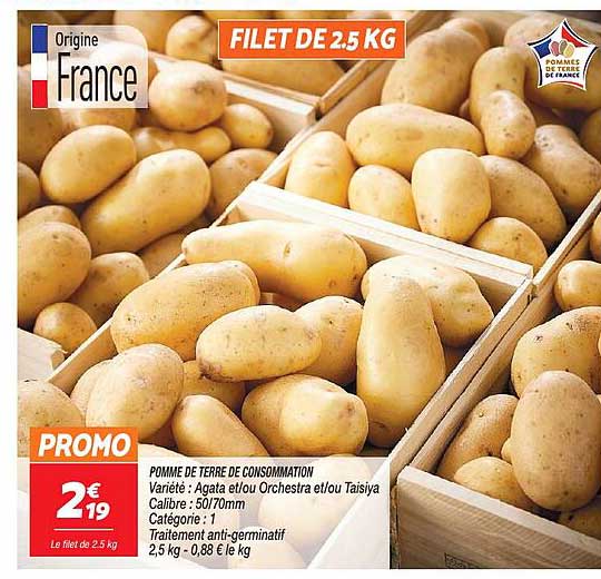 pomme de terre de consommation agata et/ou orchestra et/ou taisiya