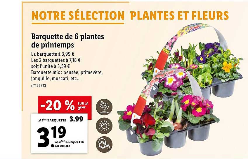 Barquette De 6 Plantes De Printemps