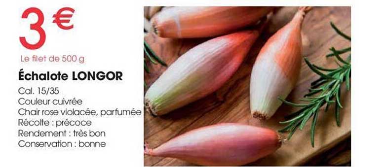échalote longor