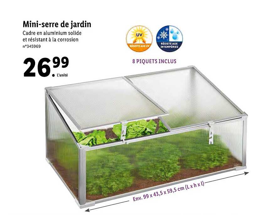 mini-serre de jardin