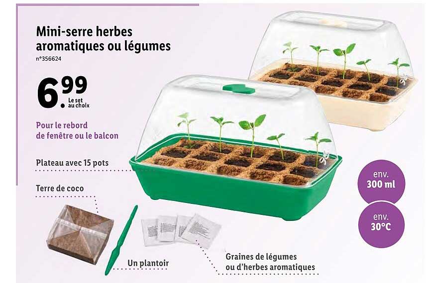 mini-serre herbes aromatiques ou légumes