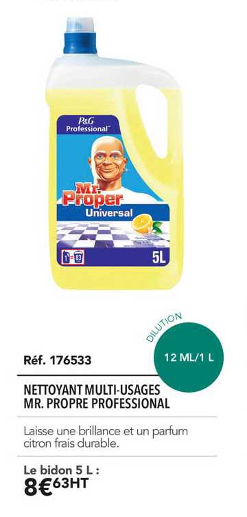 nettoyant multi usages mr. propre professional