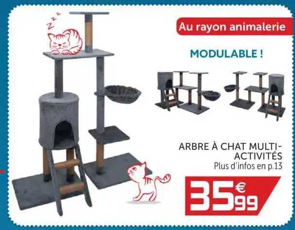 arbre à chat multi-activités