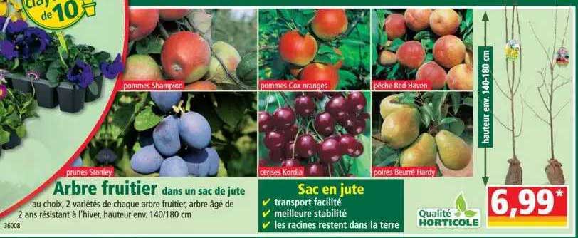 arbre fruitier dans un sac de jute