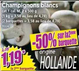 Champignons Blancs