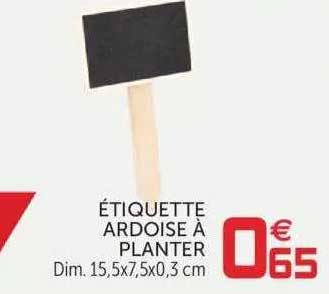 étiquette ardoise à planter