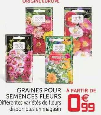 graine pour semences fleurs