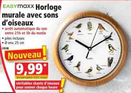 horloge murale avec sons d'oiseaux easymaxx