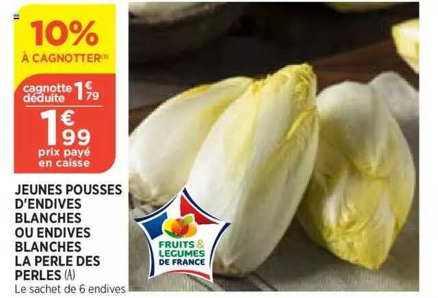 jeunes pousses d'endives blanches ou endives blanches la perle des perles