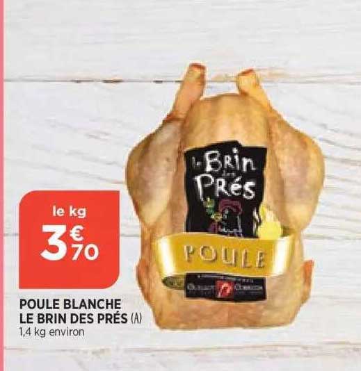 poule blanche le brin des prés