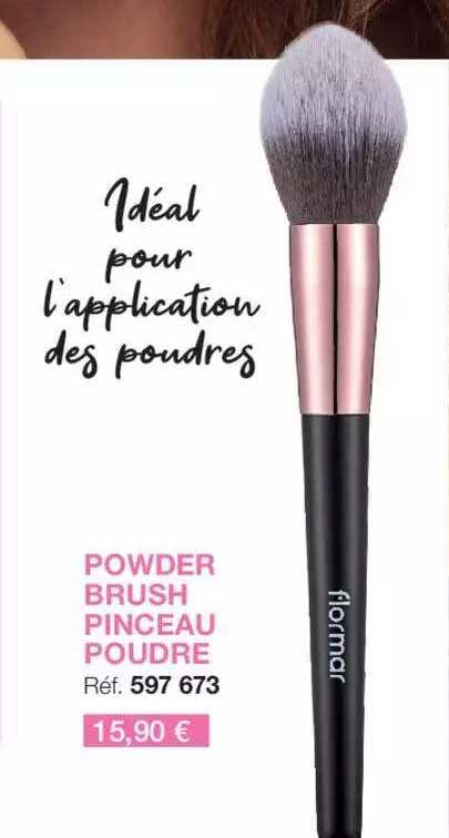 powder brush pinceau poudre
