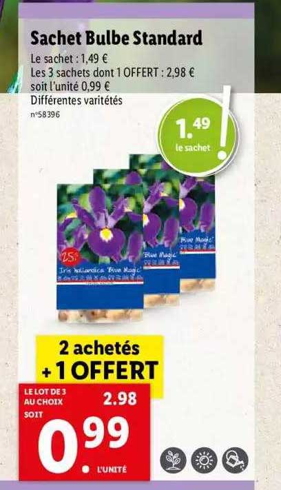 sachet bulbe standard