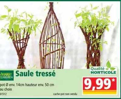 saule tressé finest garden