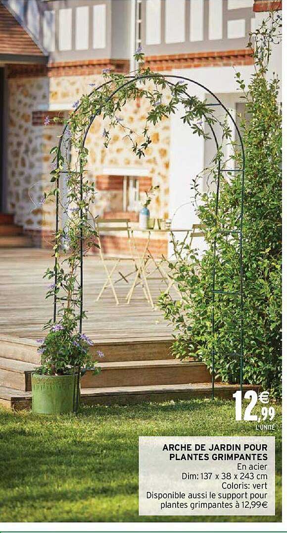 arche de jardin pour plantes grimpantes