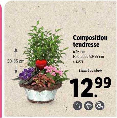 composition tendresse