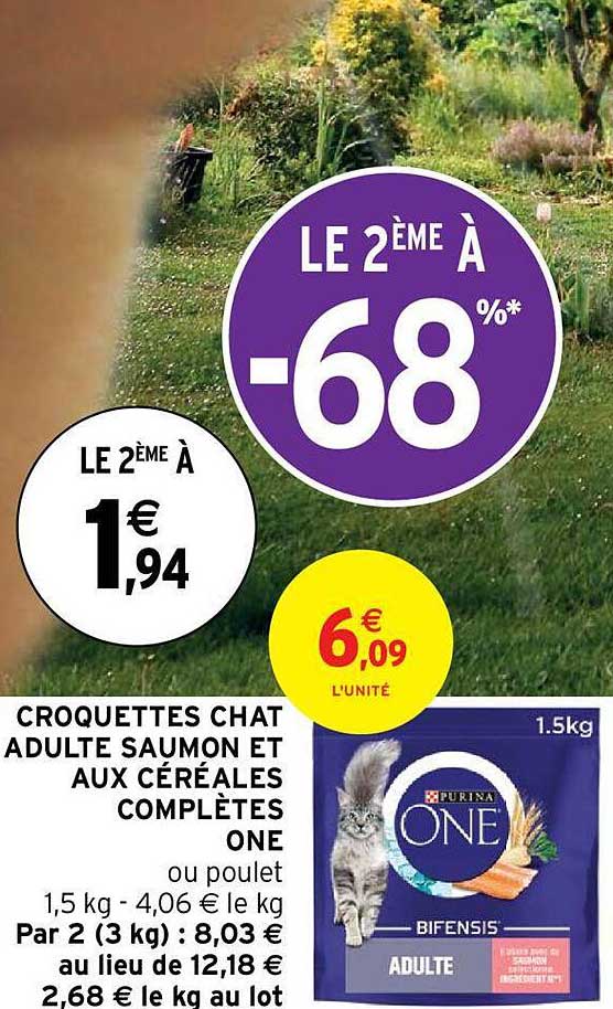 croquettes chat adulte saumon et aux céréales complètes one