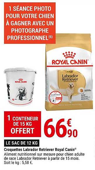 croquettes labrador retriever royal canin