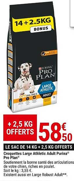 croquettes large athletic adult purina pro plan