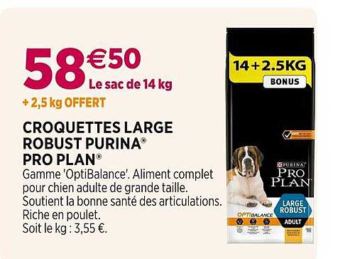 croquettes large robust purina pro plan