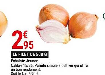 échalote jermor