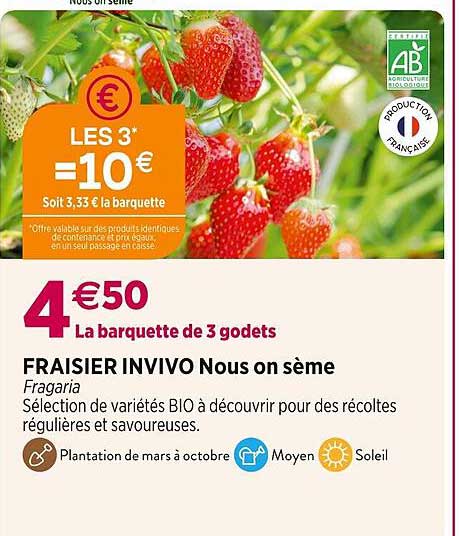 fraisier invivo nous on sème