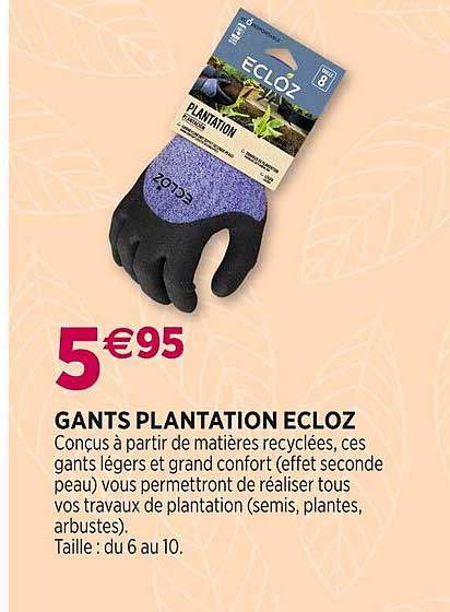 Gants Plantation Ecloz