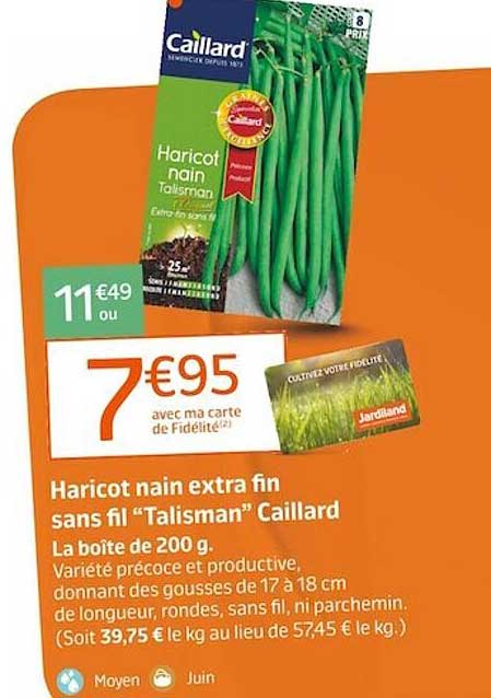 haricot nain extra fin sans fil "talisman" caillard